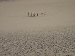 IMG_6722.jpg