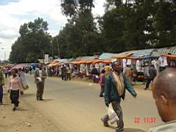DSC03509.JPG