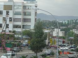 DSC03544.JPG