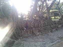 2014.03.25.38a.jpg