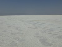 2017.01.21.078