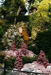 JARDIN.JPG