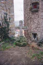 16570043.jpg