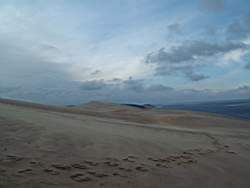 DSCF0332.JPG