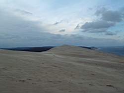 DSCF0333.JPG