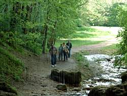 DSCF0489.JPG