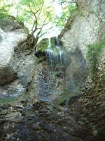 Dscf0488.jpg