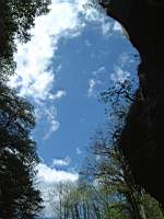 Dscf0491.jpg