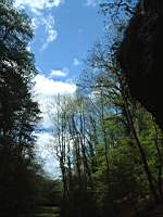 Dscf0492.jpg