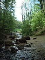 Dscf0493.jpg