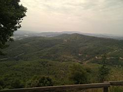 2010.08-09.20.jpg