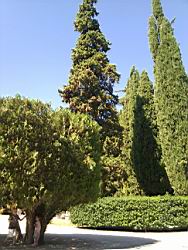 2010.08-09.28.jpg