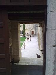 2010.08-09.42.jpg