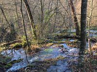 2021.02.21.05