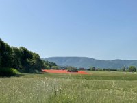 2022.05.21.01