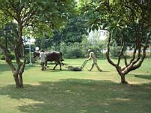 DSCF0864.JPG