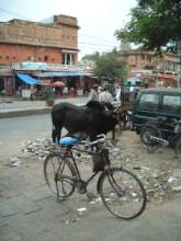 Dscf1180.jpg