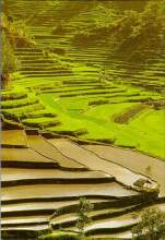 karangasem.jpg