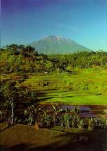 mt.agung.1.jpg