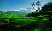 mt.agung.2.jpg