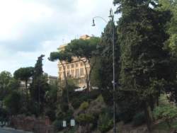 DSCF5219.JPG