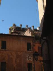 DSCF5236.JPG