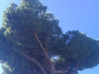 IMG 20161029 111821