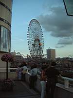 Dscf0001.jpg