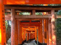 2023.11.02.15