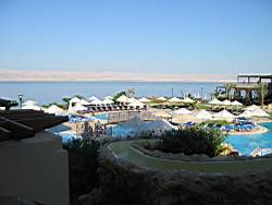 IMG_2082.jpg