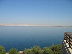 IMG_2091.jpg