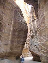 IMG_6875.jpg