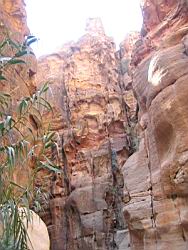 IMG_6881.jpg