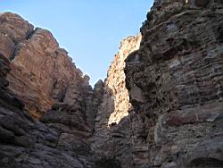 IMG_6913.jpg