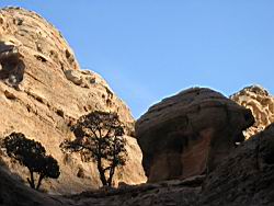 IMG_6915.jpg