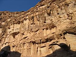 IMG_6919.jpg