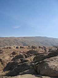 IMG_6977.jpg