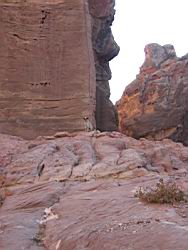 IMG_6978.jpg