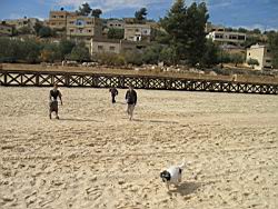 IMG_6984.jpg