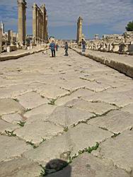 IMG_6998.jpg