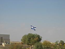 IMG_7039.jpg