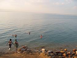 IMG_7045.jpg