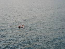 IMG_7050.jpg