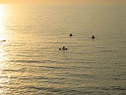 IMG_7055.jpg