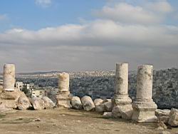 IMG_7079.jpg