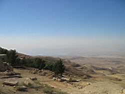 IMG_7097.jpg