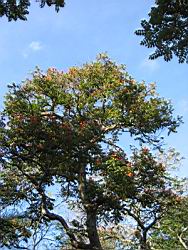 IMG_7690.jpg