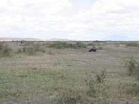 2007.04.27.73