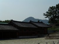 DSCF0598