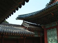 DSCF0619